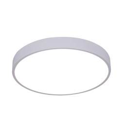 Потолочный светильник ARTE Lamp ARENA A2661PL-1WH