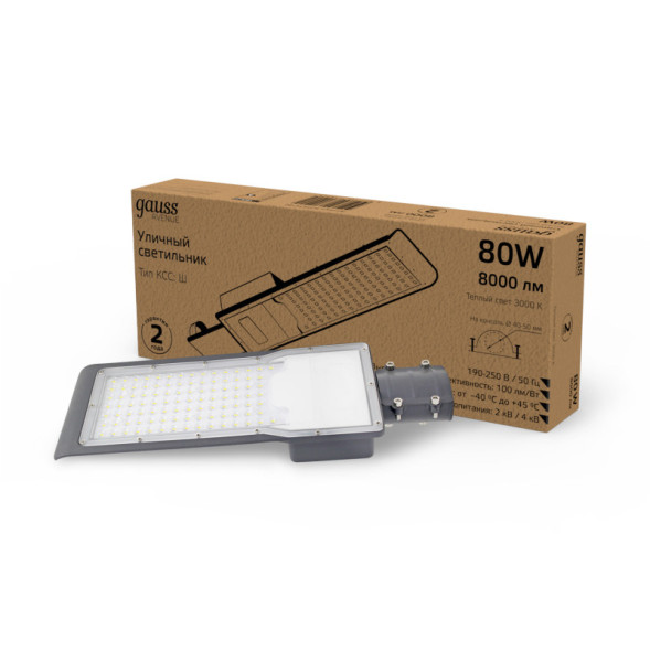 Консольный светильник Gauss 629534180 AVENUE