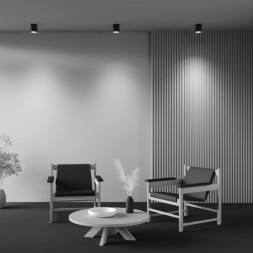 Накладной точечный светильник Maytoni Technical Spark C094-GU10-B