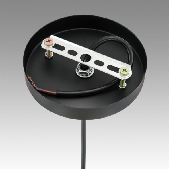 Подвесной светильник LUMION ELENIKA 8057/1А