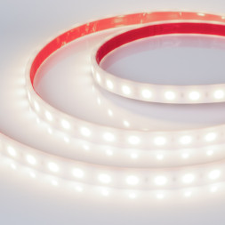 Лента Arlight RTW-PW-B60-13mm 5060 016181(2) 72W 24V 6500lm белый (дневной) IP66