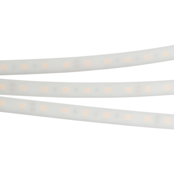 Лента Arlight RTW-PW-B60-13mm 5060 016181(2) 72W 24V 6500lm белый (дневной) IP66