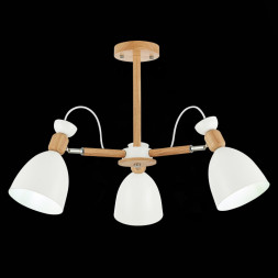 Люстра на штанге Evoluce BALCAMO SLE103802-03