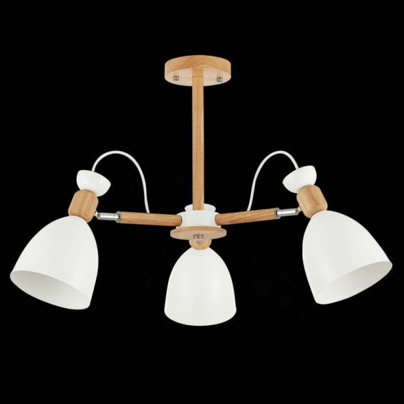 Люстра на штанге Evoluce BALCAMO SLE103802-03