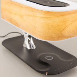 Настольная лампа Citilux Ньютон CL803042