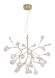 Подвесная люстра Crystal Lux Evita EVITA SP36 GOLD/TRANSPARENT