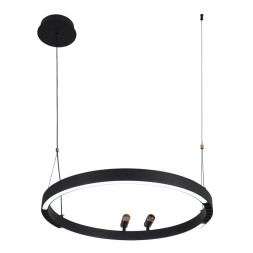 Подвесной светильник F-Promo Slinga 4474-1P