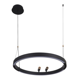 Подвесной светильник F-Promo Slinga 4474-1P