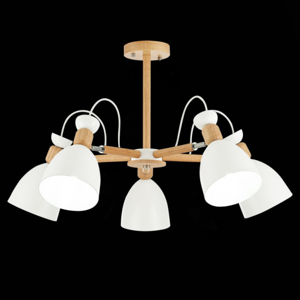 Люстра на штанге Evoluce BALCAMO SLE103802-05