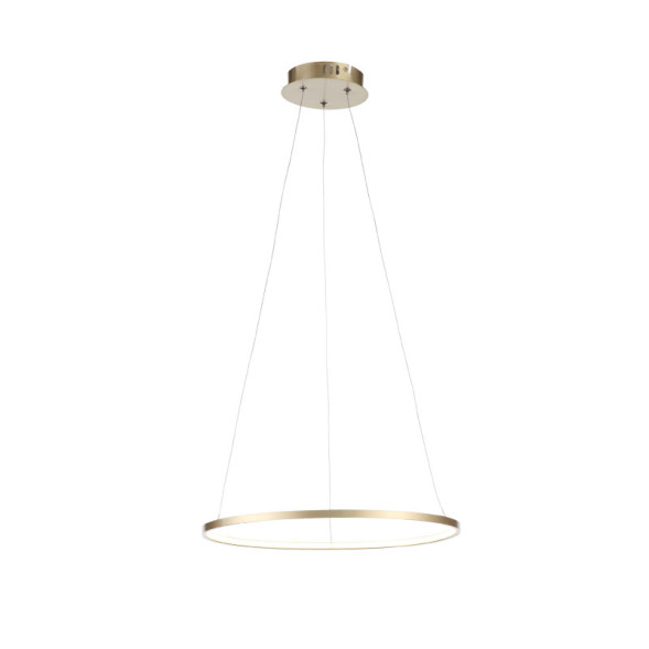 Подвесной светильник ST-Luce Erto SL904.203.01