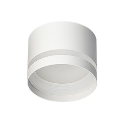 Накладной точечный светильник Citilux CL002C10 Hardy