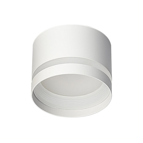 Накладной точечный светильник Citilux CL002C10 Hardy