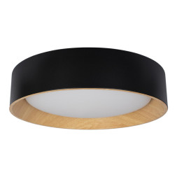 Потолочный светильник LOFT IT Coin 10202 Black