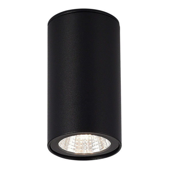 Накладной уличный светильник ST-Luce SL9514.402.01 Tubo