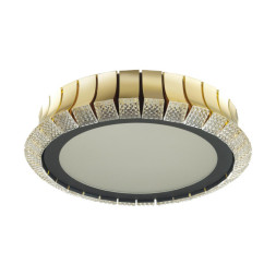 Потолочный светильник Odeon Light ASTURO 4994/75L