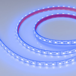 Лента Arlight RTW-PFS-B60-13mm 5060 036280 72W 12V 180lm синий IP68