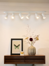 Спот LUCIDE XYRUS 23954/31/31