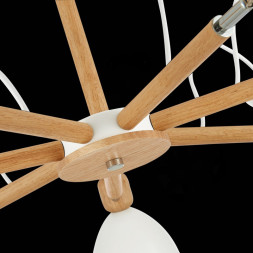 Люстра на штанге Evoluce BALCAMO SLE103802-07