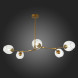Люстра на штанге Evoluce RAMETTO SLE154823-05