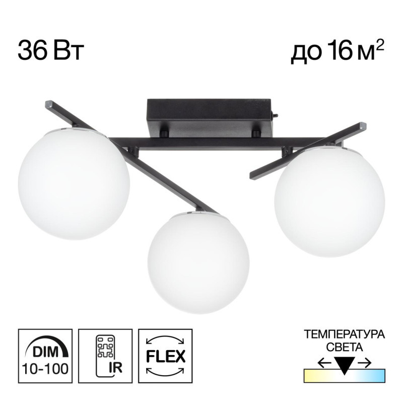 Потолочная люстра Citilux CL223132 DORSY