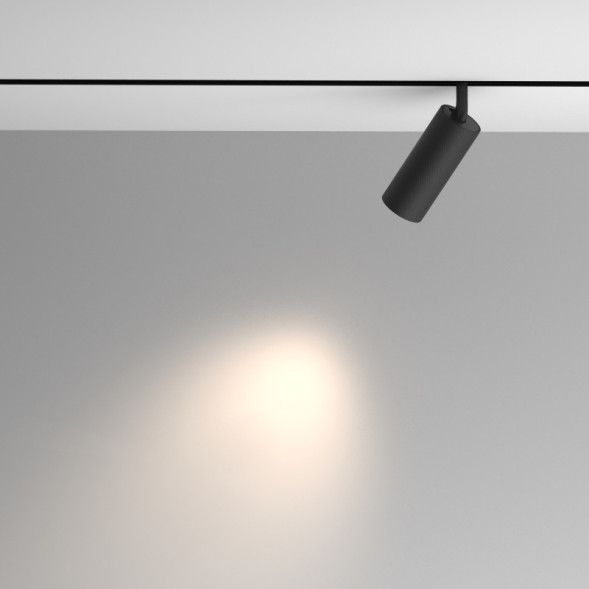 Магнитный трековый светильник Maytoni Technical Artisan TR097-2-12W4K-M-BB