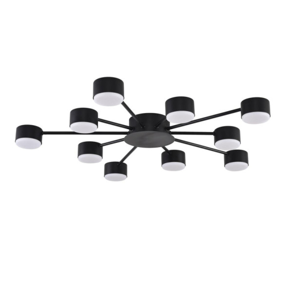 Люстра потолочная 8344/10C LUMION TORINA