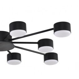 Люстра потолочная 8344/10C LUMION TORINA