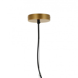 Подвесная люстра Favourite TRAUBE 2360-6P