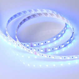 Лента Arlight RT-B60-12mm 5060 019152(2) 96W 24V 3750lm RGB+белый IP20