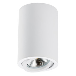 Накладной точечный светильник Lightstar RULLO 214406