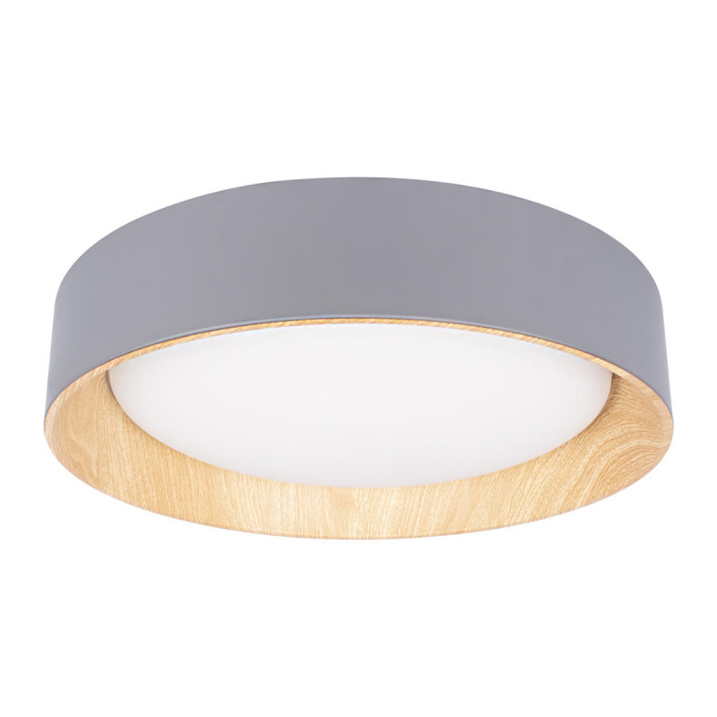 Потолочный светильник LOFT IT 10202 Grey