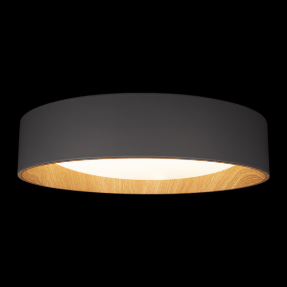 Потолочный светильник LOFT IT 10202 Grey