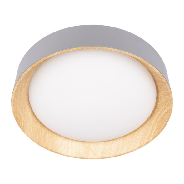 Потолочный светильник LOFT IT 10202 Grey