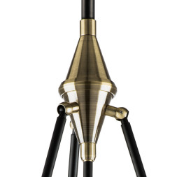 Люстра на штанге Lightstar MODENA 816037