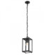 Подвесной уличный светильник ARTE Lamp BELFAST A4569SO-1BK