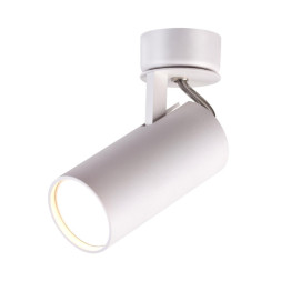 Спот Odeon Light CORSE 3873/1C