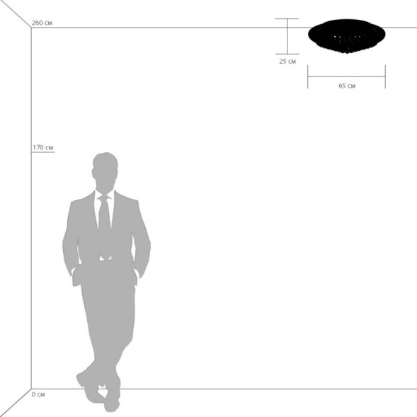 Потолочная люстра Lightstar Monile 704174