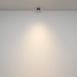 Накладной точечный светильник Maytoni Technical Rendo C095CL-GX53-GR