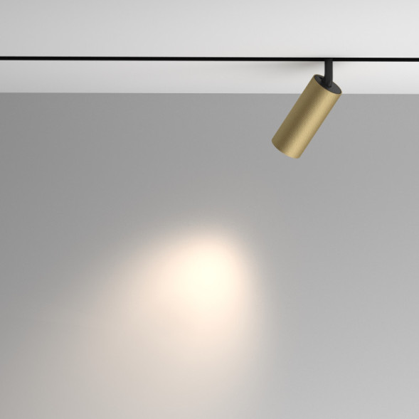 Магнитный трековый светильник Maytoni Technical Artisan TR097-2-12W4K-M-BMG