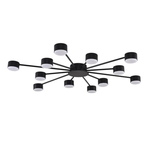 Люстра потолочная 8344/12C LUMION TORINA