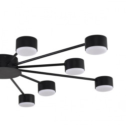 Люстра потолочная 8344/12C LUMION TORINA