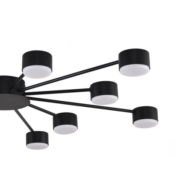 Люстра потолочная 8344/12C LUMION TORINA