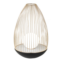 Настольная лампа Favourite CORE 4241-1T