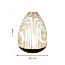 Настольная лампа Favourite CORE 4241-1T