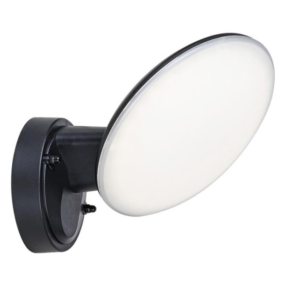Уличный настенный светильник Escada WALK 10215/1LED