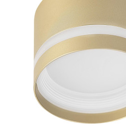 Накладной точечный светильник Citilux CL002C12 Hardy