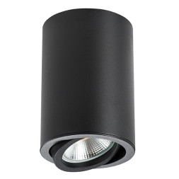 Накладной точечный светильник Lightstar RULLO 214407