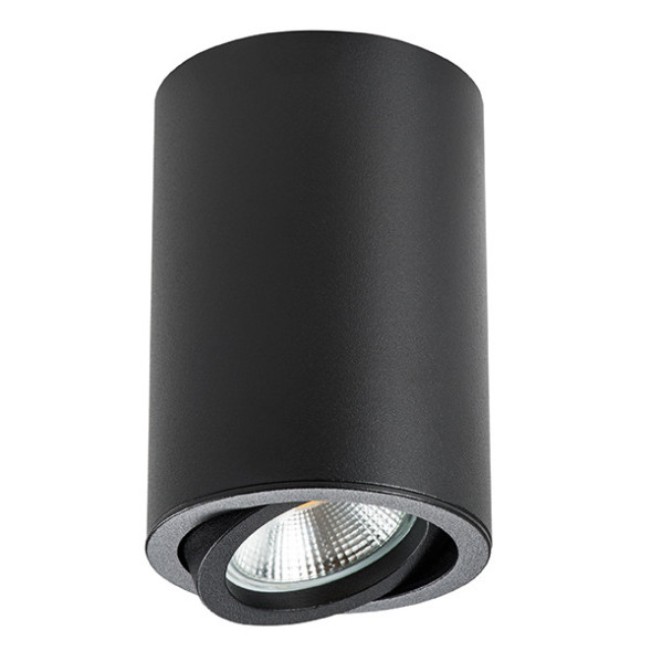 Накладной точечный светильник Lightstar RULLO 214407