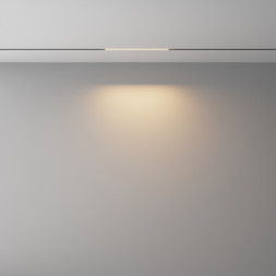 Трековый светильник Maytoni Technical BASIS TR240-2-6W3K-B