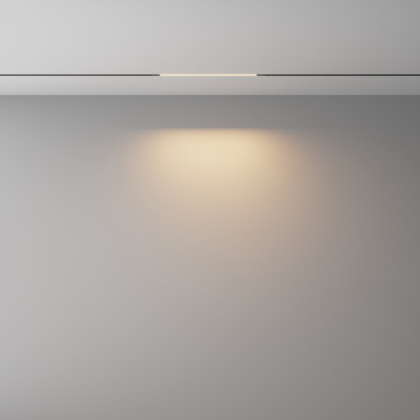 Трековый светильник Maytoni Technical BASIS TR240-2-6W3K-B
